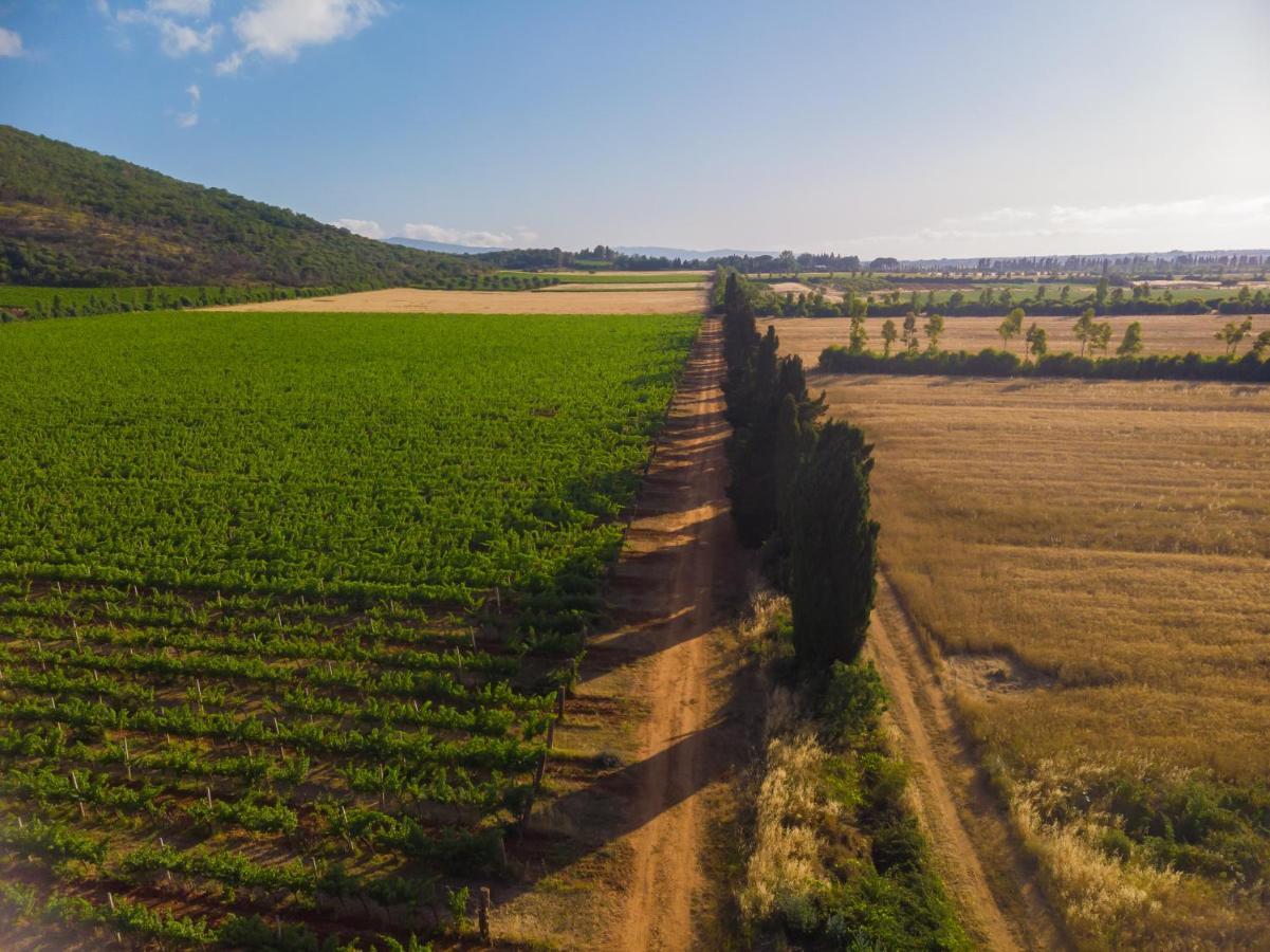 Вилла Antica Fattoria La Parrina Орбетелло Экстерьер фото